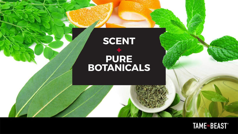 Scent plus pure natural and organic botanicals